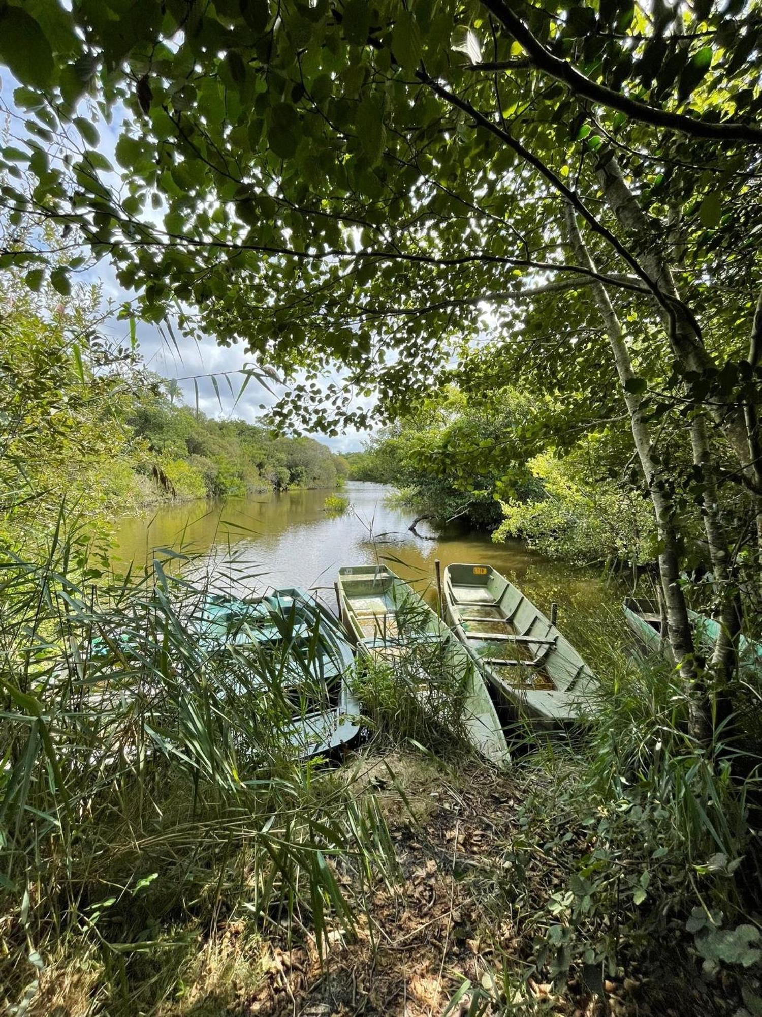 Chambre D'Hotes Landes - Le Clos Des Oliviers Леон Экстерьер фото